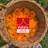 Huile de Soin Visage et Corps – Calendula BIO Suisse | Apaisante · Peaux Sensibles · 50 ml