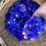 Masque Peel-off aux fleurs de bleuet- Hydratant et Rafraichissant