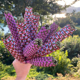 Lavender Spindle - Limited Edition